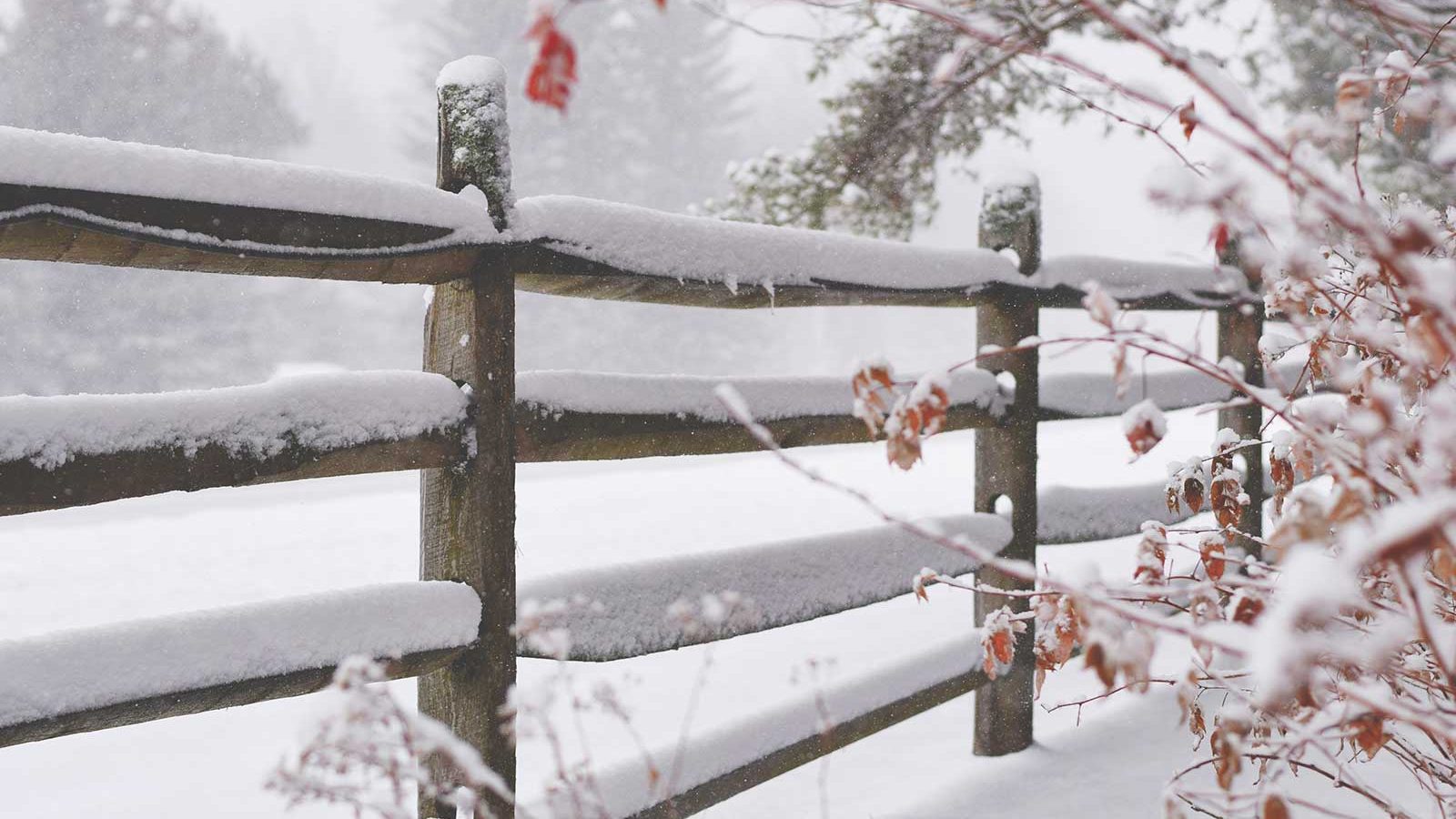 south-coast-fencing-christmas-opening-hours-message-1