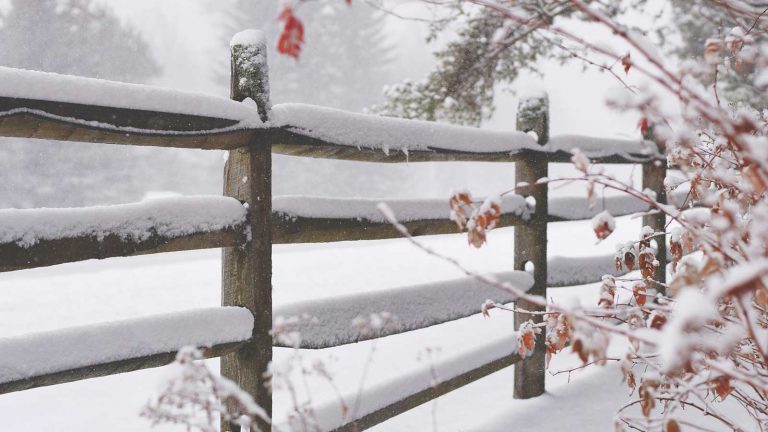 south-coast-fencing-christmas-opening-hours-message-1