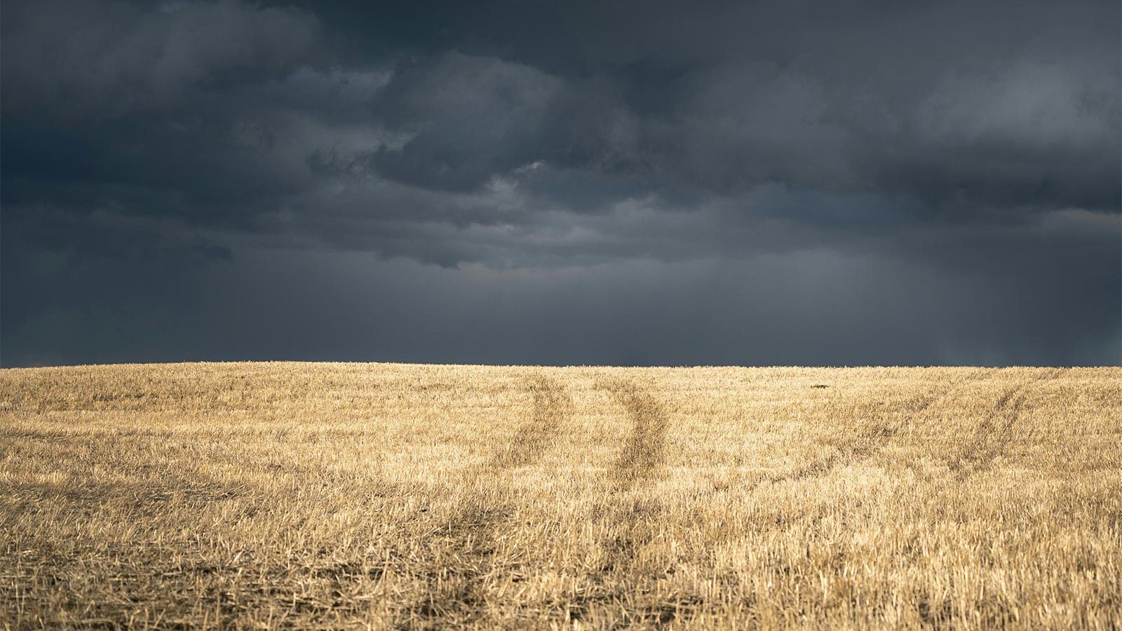storm-fencing-damage-repairs-south-coast-fencing-2024